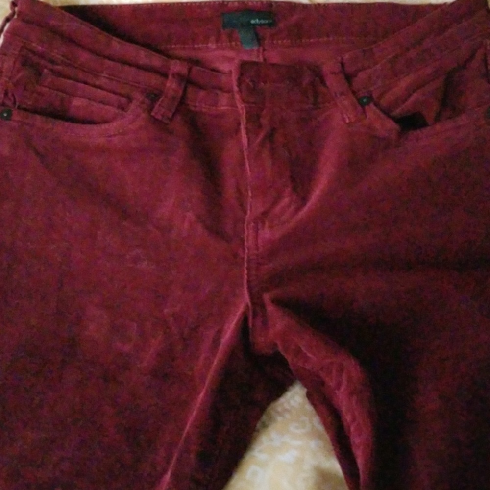 cranberry corduroy pants by Edyson for Stitch Fix